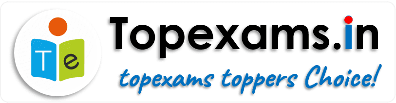 Topexams New logo